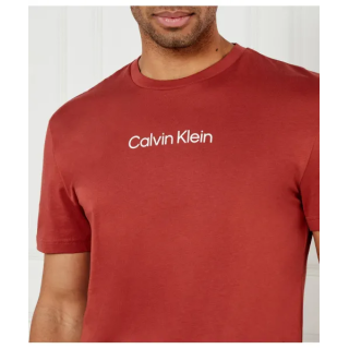 t-shir calvin klein k10k111346