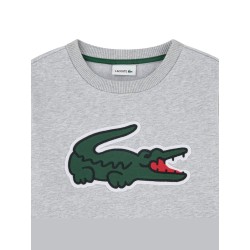 felpa lacoste bimbo 847880