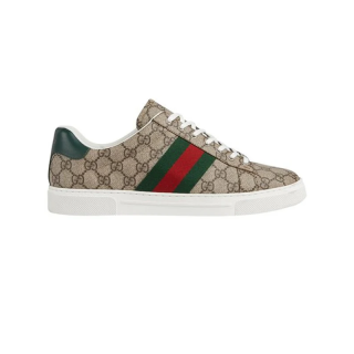 scarpa gucci ace